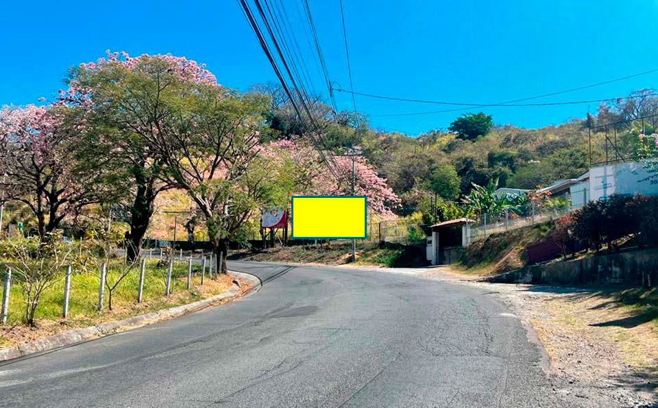 latest property